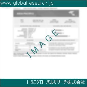 グローバルリサーチ調査資料のイメージ